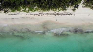 Tulum 'daki kumsalın kuş bakışı görüntüsü. - Evet. Yüksek kalite 4k görüntü