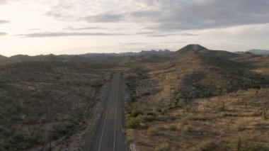Arizona 'da bir kaktüs çölünün üzerinde uçan bir uçak. Yüksek kalite 4k görüntü