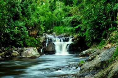 The water flow flows in a rocky river with lots of wild trees clipart