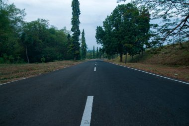 Ormanın arasında yokuş yukarı.