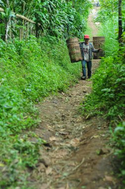 Pasuruan, Endonezya - 13 Mayıs 2012: odun arayanlar yükselen bir dağ yolunda yürüyorlardı
