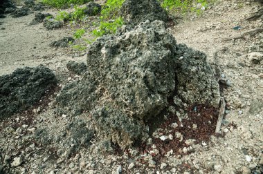 Sahilde bir taş parçası