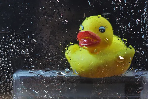 a toy duck behind the bathroom glass that was wet with water drop