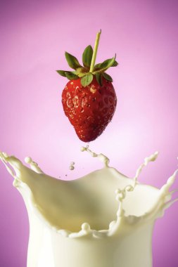 Bir çilek pembe arka planlı kremalı süt yüzeyine sıçrar.