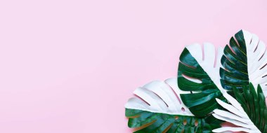 Tropikal yaprak, pastel ve karışık benekli yaprak koleksiyonu. Yaratıcı ve asgari sanat arka planı..