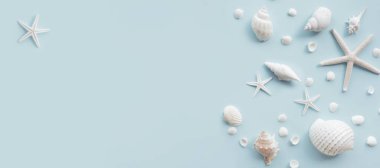 Renk arkaplanında kopyalama alanı olan deniz kabuğunun üst görünümü