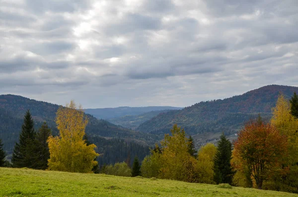 Malerische Herbstberge Mit Grünen Weiden Und Bunten Wäldern Den Karpaten — Stockfoto