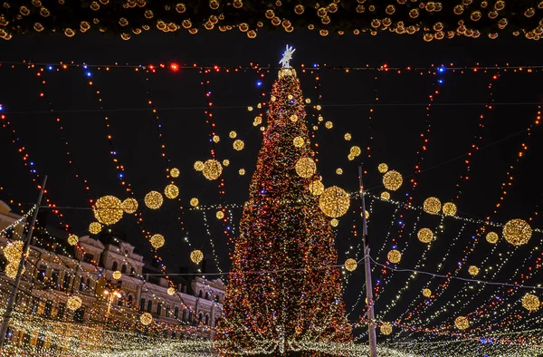 Choinka Placu Sofii Podczas Obchodów Nowego Roku Kijowie — Zdjęcie stockowe