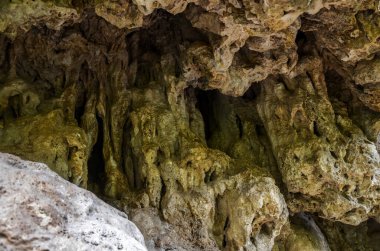Travertin kayasının (tufa) doğal oluşumuna yakın çekim. Ermenistan 'ın eşsiz simgesi 
