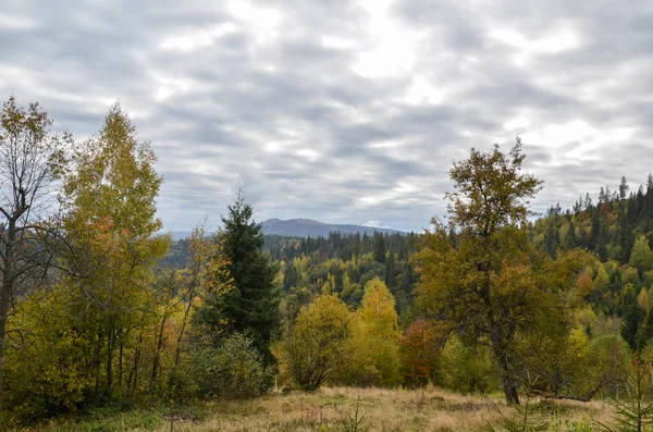 Höstlandskap Med Färgglada Träd Och Berg Ukrainska Karpaterna Hösten — Stockfoto