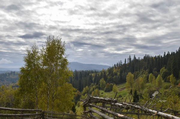 Осенний Пейзаж Красочными Деревьями Горами Украинские Карпаты Осенью — стоковое фото