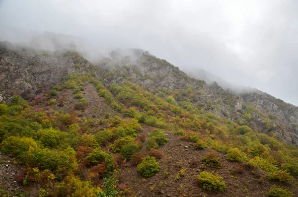 stock image Autumn misty mountain slopes covered with colorful vegetation on a cloudy day. Caucasus Mountains, Armenia