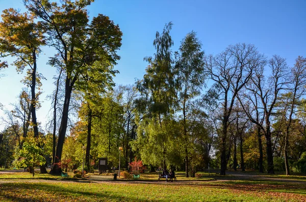 Красивый Пейзаж Осенними Деревьями Парке Солнечный День — стоковое фото