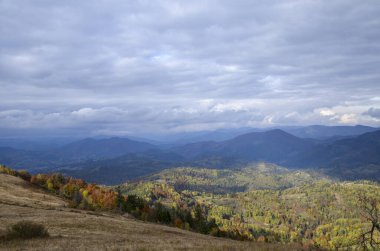 Güneş ışığıyla aydınlatılmış rengarenk ormanlarla kaplı bir dağ vadisinin manzarası. Karpat Dağları, Ukrayna