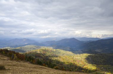 Beautiful view of mountain ridge and valley covered colorful autumn forest. Beauty of nature, tourism, traveling and environment preservation concept. Carpathians, Ukraine