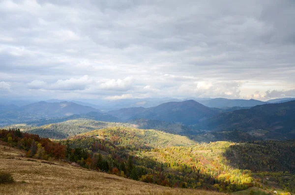 Beautiful view of mountain ridge and valley covered colorful autumn forest. Beauty of nature, tourism, traveling and environment preservation concept. Carpathians, Ukraine