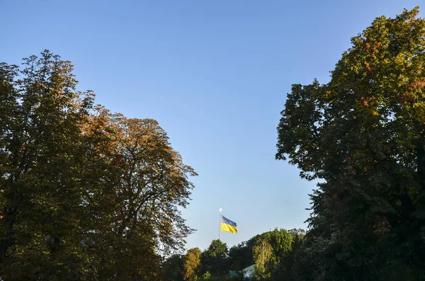 Largest Blue Yellow National Ukrainian Flag Waving Clear Sky Background — 스톡 사진