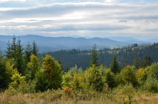 Krásný Výhled Malebný Hřeben Hory Les Travnaté Údolí Pod Zataženou — Stock fotografie