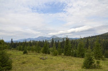 Arka planda güzel yeşil dağ ormanları ve Khomyak ve Synyak dağlarının zirveleri. Karpatlar, Ukrayna