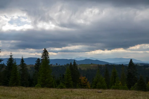 Schöne Naturkulisse Mit Fichten Und Himmel Mit Niedrigen Wolken Karpaten — Stockfoto