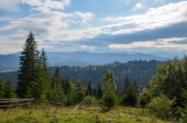Karpat tepeleri ve Ukrayna 'daki kozalaklı ormanlarla dolu güzel bir dağ manzarası.