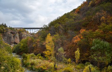 Ermenistan 'ın Jermuk kenti yakınlarındaki Arpa nehri kanyonunun kayalık geçidinde sonbahar manzarası