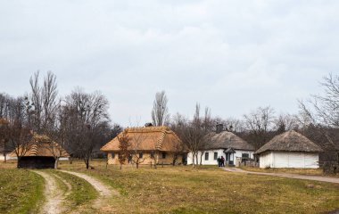 Geleneksel Ukrayna köyünün sazdan çatılı otantik ahşap evleriyle kırsal alan