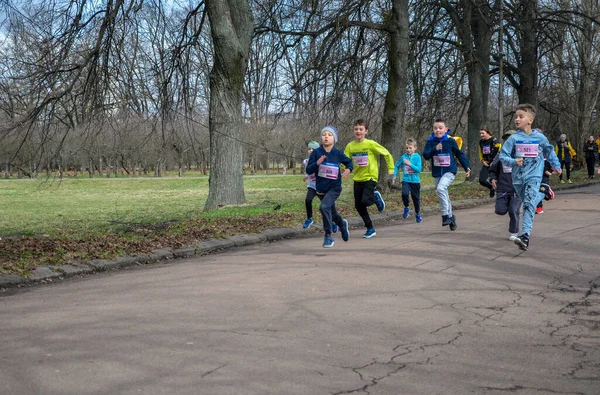 Koşu Müsabakası Başladıktan Sonra Bir Grup Kasıtlı Çocuk — Stok fotoğraf