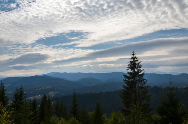 Herbstliche Berglandschaft Mit Nadelbäumen Vordergrund Und Bewölktem Himmel Horizont Karpaten — Stockfoto