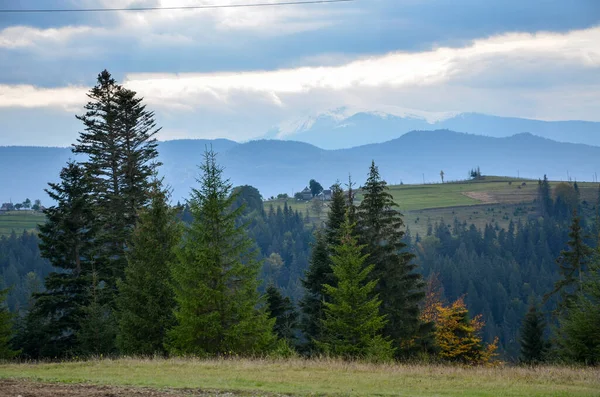 Herbstliche Berglandschaft Mit Nadelbäumen Vordergrund Und Bewölktem Himmel Horizont Karpaten — Stockfoto