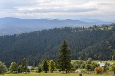 Yeşil yamaçlar, orman, çimenli tepeler ve çayırlar, uzaktaki dağ tepeleri, Karpatlar ve Ukrayna 'nın muhteşem doğa manzarası.