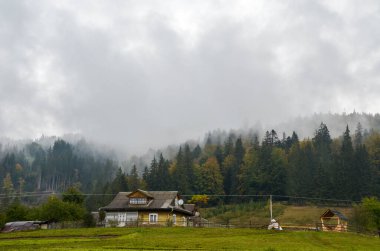 Arka planda sis kaplı eve ve sonbahar ormanına güzel bir manzara. Karpat Dağları, Ukrayna