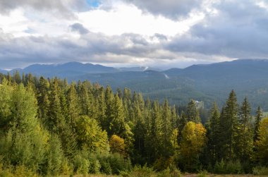 Yoğun ormanları olan güzel bir dağ manzarası. Karpat Dağları, Ukrayna