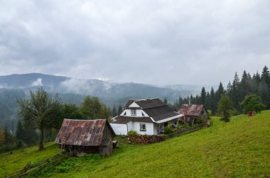 Arka planda sis kaplı eve ve sonbahar ormanına güzel bir manzara. Karpat Dağları, Ukrayna