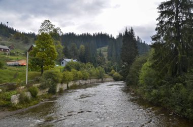Prut dağı, sonbahar bulutlu bir günde Karpat dağları arasında hızla akar. Doğa manzarası. Ukrayna 