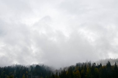 Alçak bulutlar, dağlarla sisle kaplı ormanlar arasında asılı duruyor. Sonbahar Karpatya manzaraları, Ukrayna