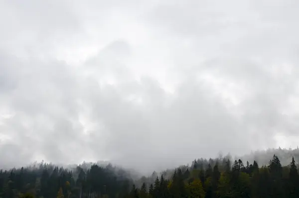 Low clouds hang between the mountains and forests covered with fog. Autumn Carpathian landscapes, Ukraine