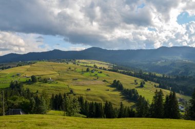 Tepelerinde orman olan güzel dağlık otlaklar. Dağ kırsalının manzarası. Yazın Karpat Dağları 