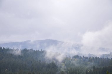 Dağlardaki sisli ormanlarla dolu doğal manzara Ukrayna 'nın Karpat Dağları' ndaki sonbahar bulutlu günü boyunca yamaçtadır.