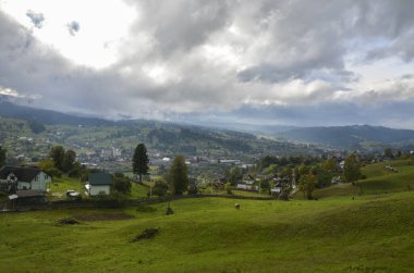 Vorokhta dağ köyü yakınlarındaki güzel çayırlar, tepeler ve ağaçlar. Yağmurdan önce gökyüzü bulutlu. Ukrayna Karpat Dağları