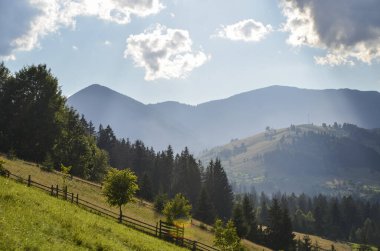 Parlak güneş ışığıyla kaplı yeşil çimenli yamaçlar. Arka planda yüksek dağlar var. Yazın Karpatlar, Ukrayna