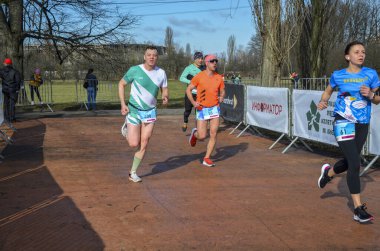 Şehir maratonu sırasında dışarıda koşan bir grup genç sporcu. Sokakta spor yapıyor. Sağlıklı yaşam tarzı kavramı.
