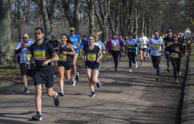 Spor, spor, spor ve sağlıklı yaşam tarzı için kros konsepti. Parkta koşan koşucular