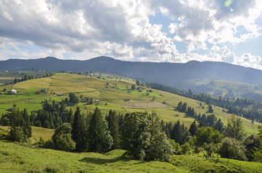 Yeşil çimen vadisinin güzel manzarası, ağaçlar ve kırsal dağ manzarası aydınlık yaz gününde. Doğanın güzelliği, turizm, seyahat ve çevre koruma kavramı. Karpatlar