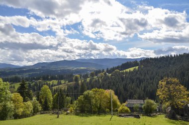 Güneşli yaz gününde Karpat Dağları 'nın güzel manzarası. Taze yeşil tepeler ve çam ormanı, renkli doğa manzarası. 