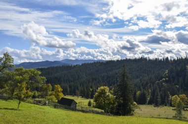 Güneşli yaz gününde Karpat Dağları 'nın güzel manzarası. Taze yeşil tepeler ve çam ormanı, renkli doğa manzarası. 