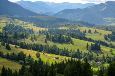 Yoğun ormanlar ve yüksek dağların arasında yeşil çayırlar bulunan dağ manzarası, tepelerin yeşil yamaçlarına dağılmış küçük evler. Karpatlar, Ukrayna