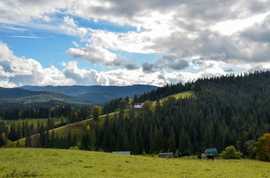Dağların yamaçlarındaki yeşil ormanların arasında yer alan küçük köy tatlı otlarla kaplıydı. Karpat Dağları, Ukrayna