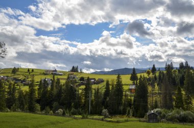 Dağların yamaçlarındaki yeşil ormanların arasında yer alan küçük köy tatlı otlarla kaplıydı. Karpat Dağları, Ukrayna