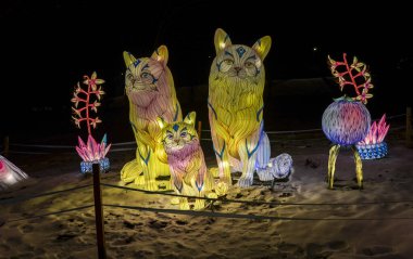 Çin Fener Festivali 'nden geleneksel lambalar. Sokak ışıklarının renkli ışık heykelleri arka planda farklı boyutlarda ve renklerde üç kedi ve diğer açık renkli elementler var.